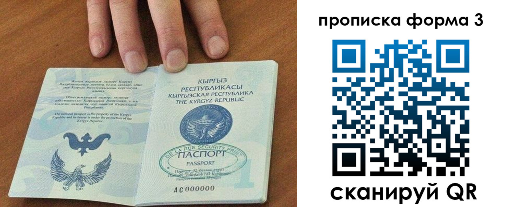 прописка 2025 в Волоколамске